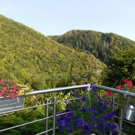 Apartment Ferienhaus Hecker Waldbreitbach